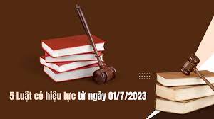 5 luật được Quốc hội thông qua năm 2022 chính thức được áp dụng từ 01/7/2023