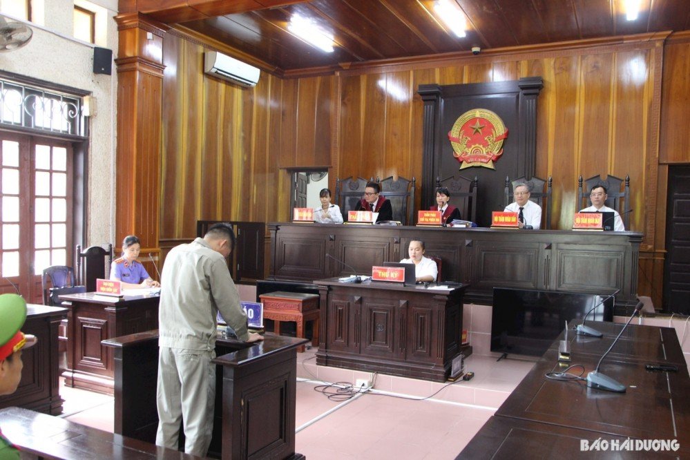 ĐI TÙ VÌ MUỐN BẮT KẺ TRỘM MÈO