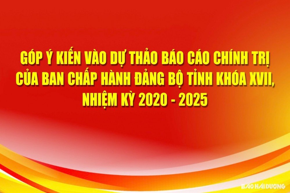 Góp ý vào dự thảo Báo cáo Chính trị của Ban Chấp hành Đảng bộ UBND thành phố Hải Phòng lần thứ I, nhiệm kỳ 2025 - 2030
